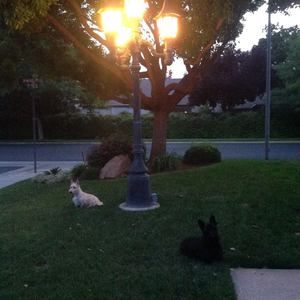 Meet your Posher, Lloyd